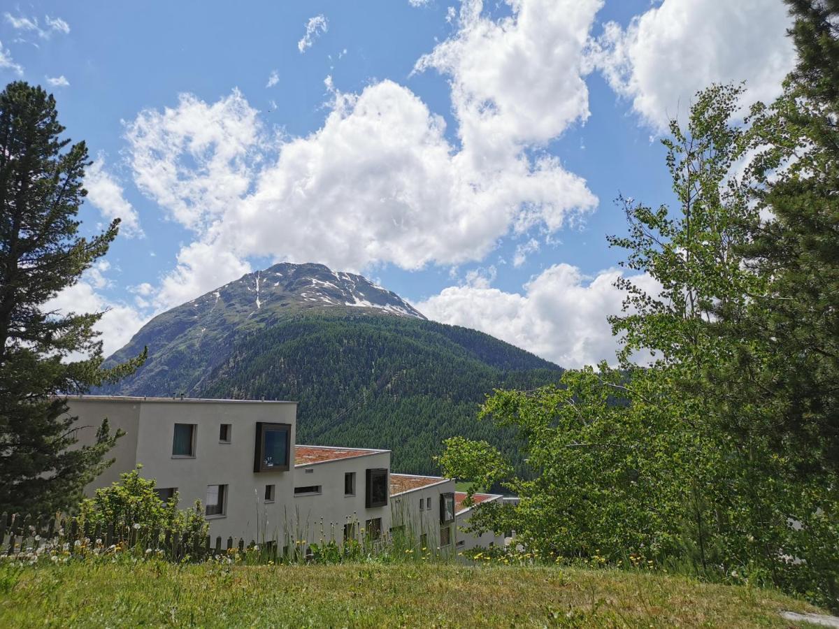 Ferienwohnung Pontresina - Chesa Andrea - Gartensitzplatz Extérieur photo